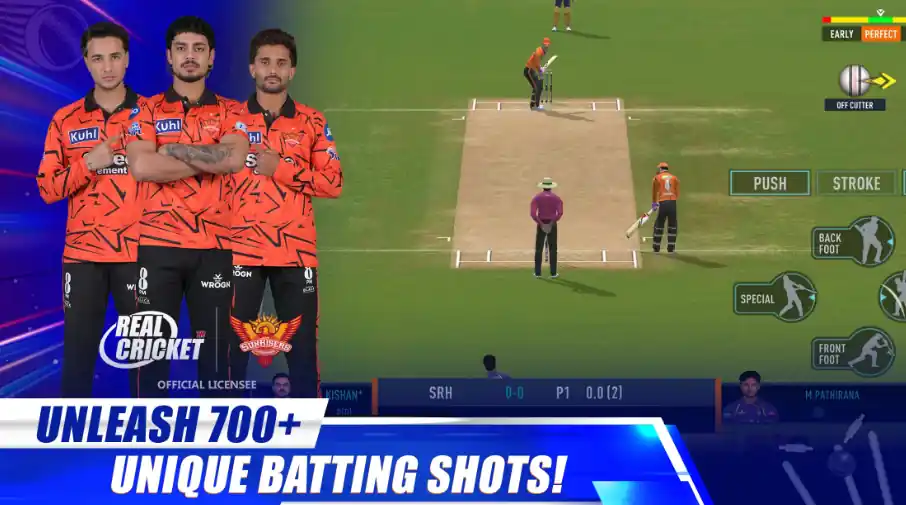 Real cricket